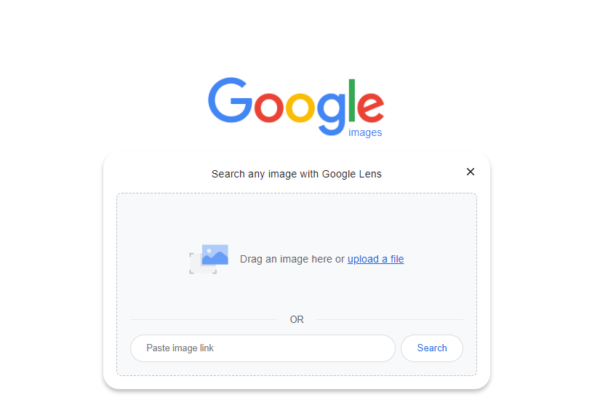 search any image with google