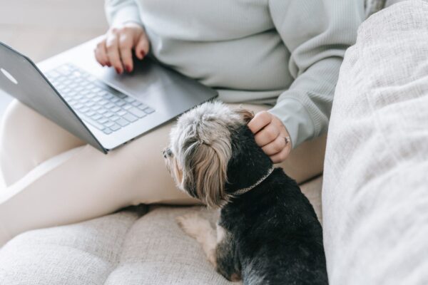 Balancing Pet Care & Work Life