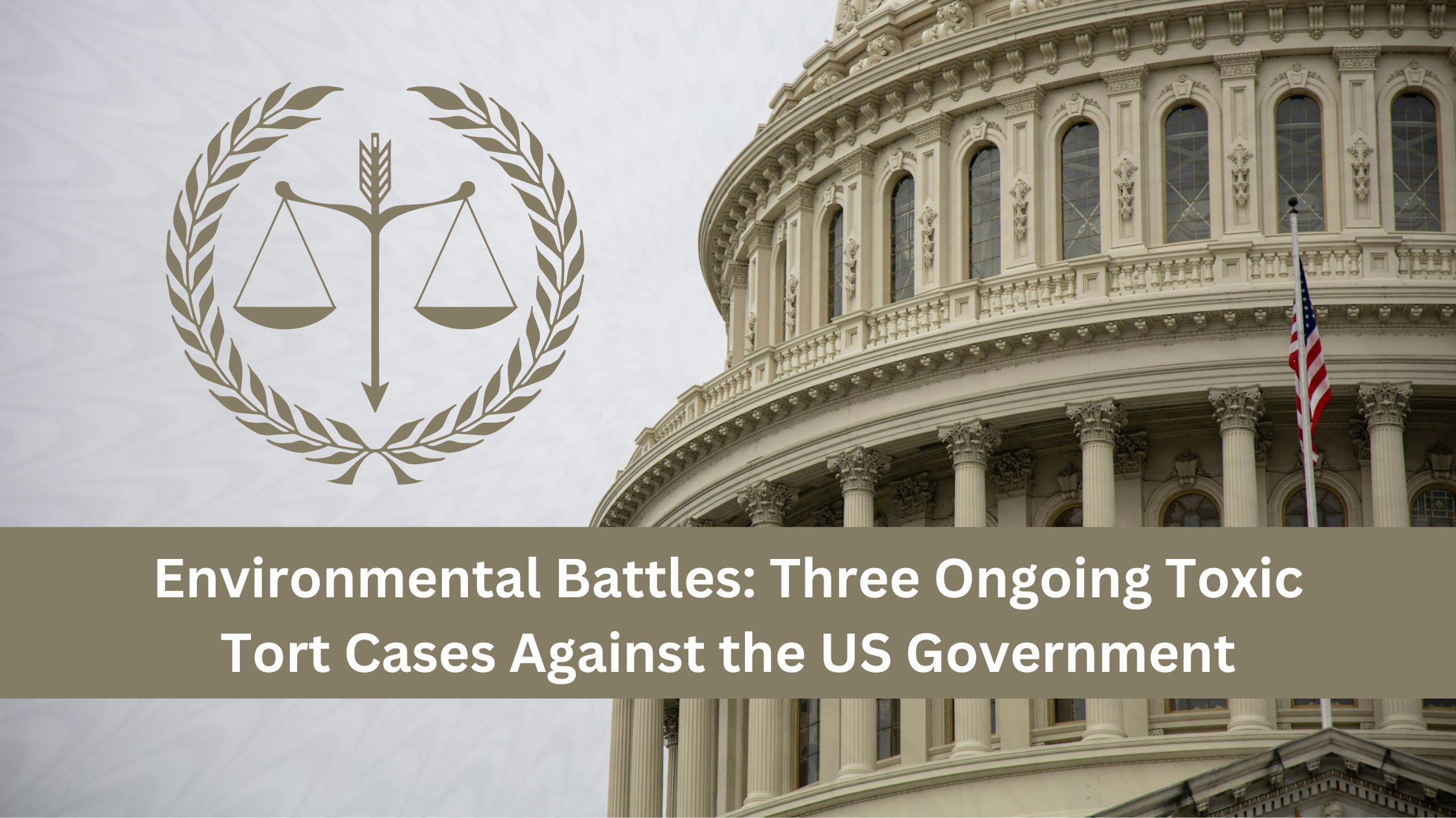 Cases Against the US Government